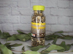 where to buy moringa seeds for planting Moringa Seed, 4oz. || kayraimports.com – Kayra Imports