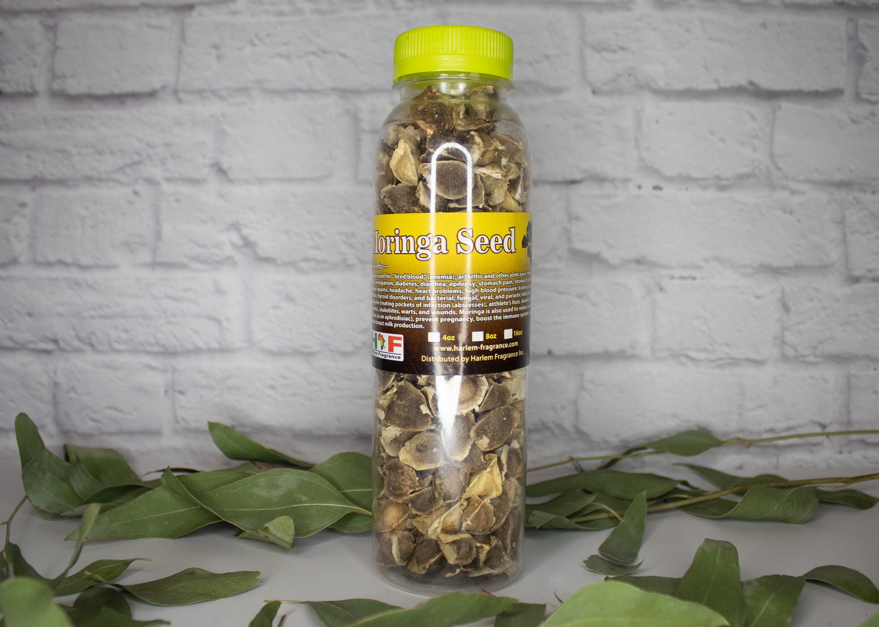 Moringa Seed, 8oz